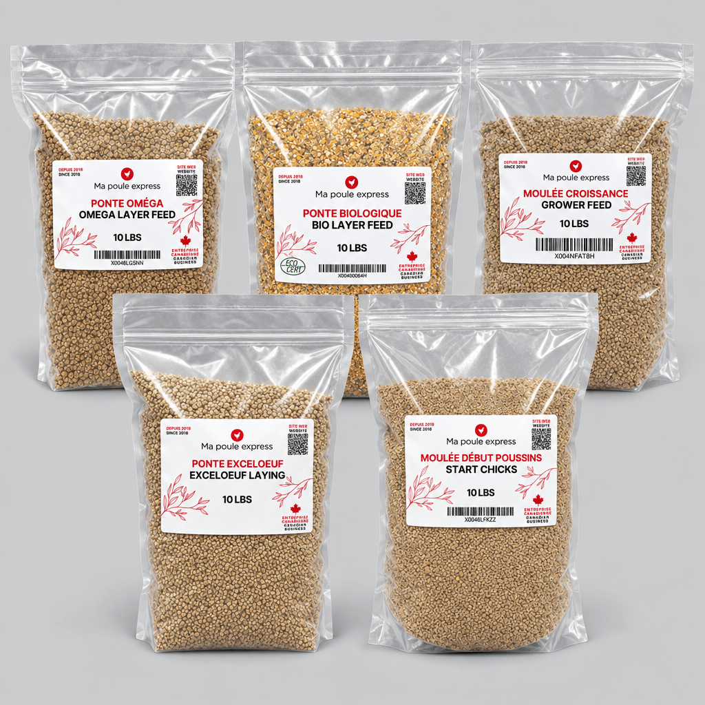 Moulée pour Poules et Poussins – 5 Formules au Choix | Sac de 10 lb - Ma Poule Express