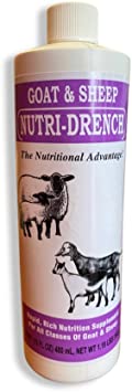 Nutri - Drench Goat and Sheep - Ma Poule Express