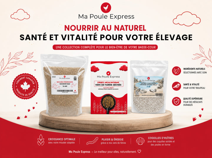 Combo Santé et Vitalité – Moulée, Vers de Farine et Coquilles d’Huîtres | Offre d’Août