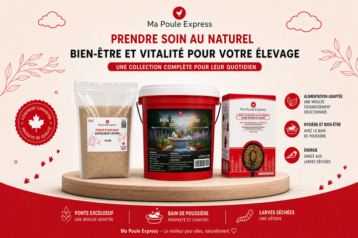 Combo Bien-être et Vitalité – Moulée, Bain de poussière et Larves séchées | Offre d’Août