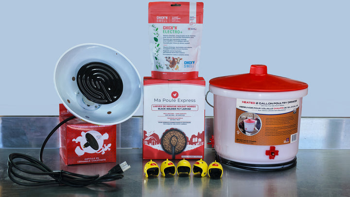 Ensemble complet pour poulailler – 6 produits essentiels | Abreuvoir chauffant 2 gallons, lampe céramique avec socle, électrolytes 300 g, larves BSF 1 lb et 5 casques pour poules