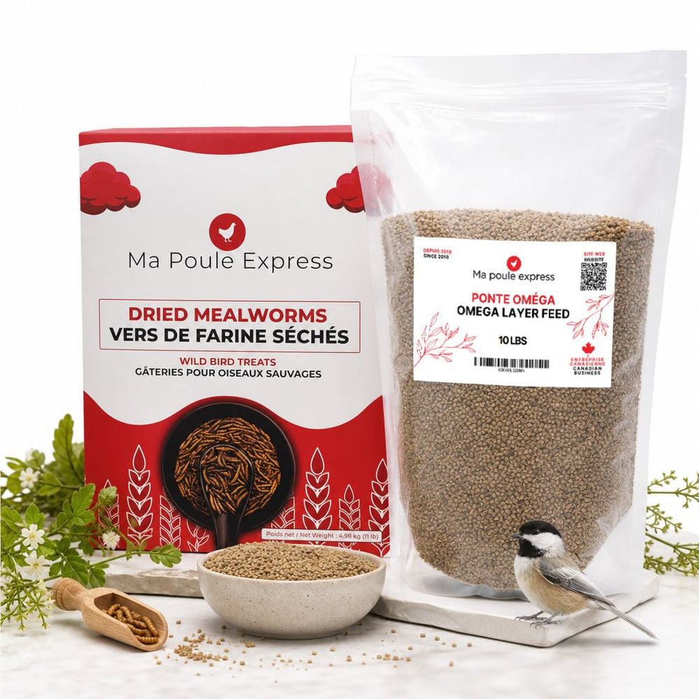 Pack Énergie de Juin : Vers de Farine Séchés (11 lbs) + Moulée Ponte Oméga (10 lbs) – Offre Spéciale de Juin - Ma Poule Express