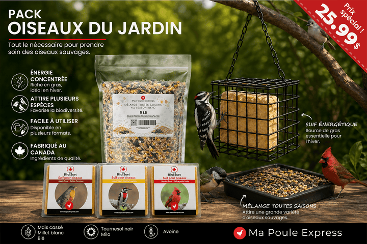 Pack Oiseaux du Jardin - Mélange Toutes Saisons (5 lb), 6 Blocs de Suif Variés et Mangeoire - Ma Poule Express