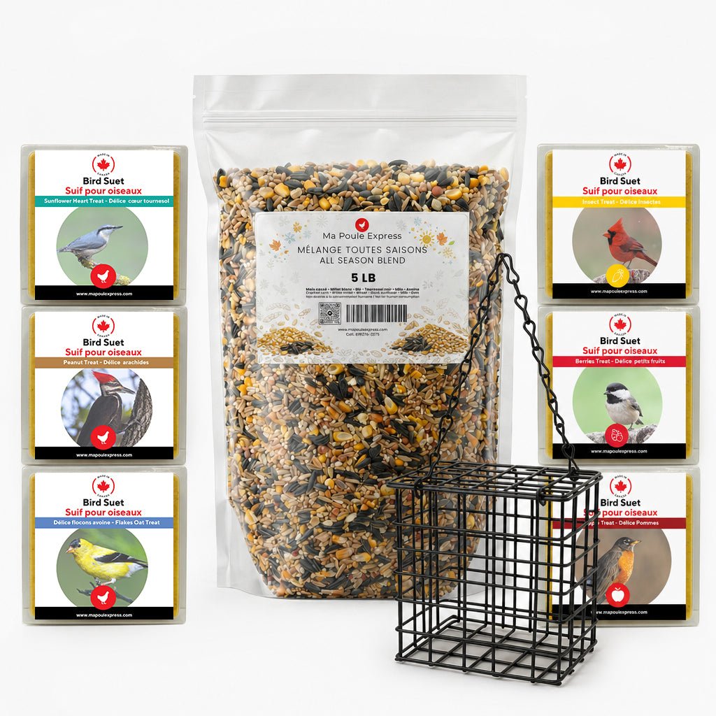 Pack Oiseaux du Jardin - Mélange Toutes Saisons (5 lb), 6 Blocs de Suif Variés et Mangeoire - Ma Poule Express