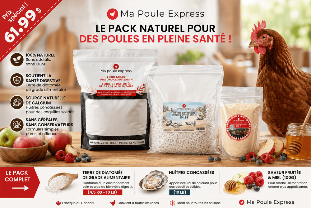 Pack Santé Naturelle pour Poules - Terre de Diatomée, Huîtres & Supplément Miel/Fruits - Ma Poule Express