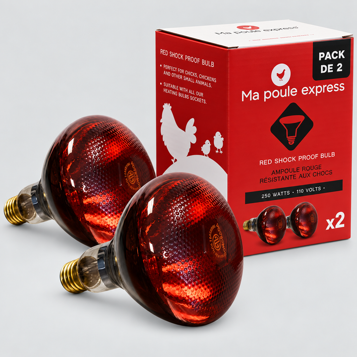 Ampoule résistante aux chocs - 250 W