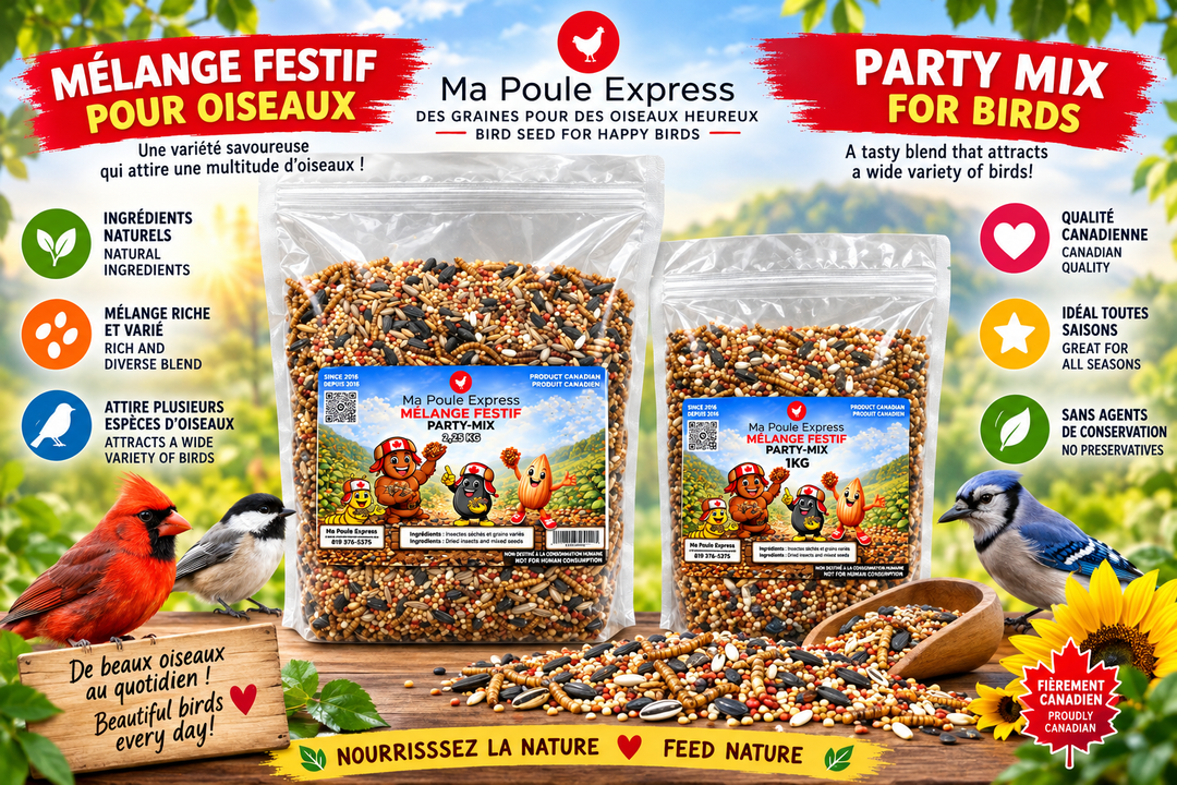 Party Mix - Mélange de grains et d&