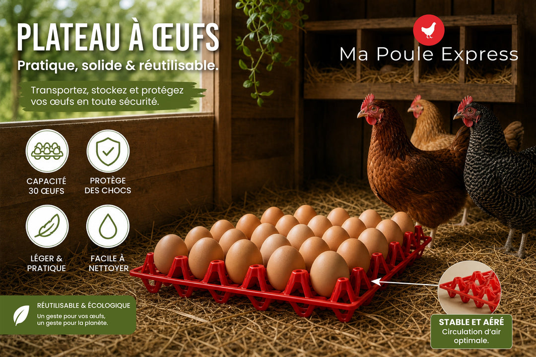 Plateau à Œufs Haute Résistance – Capacité 30 Œufs – Rouge Agricole - Ma Poule Express