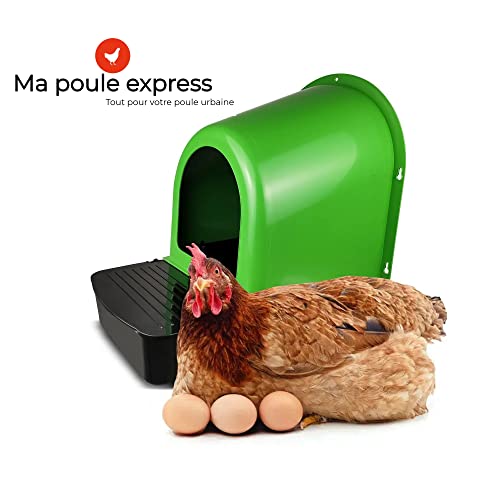Pondoirs en plastique avec glissade pour les œufs - Paquet de 5 - Ma Poule Express