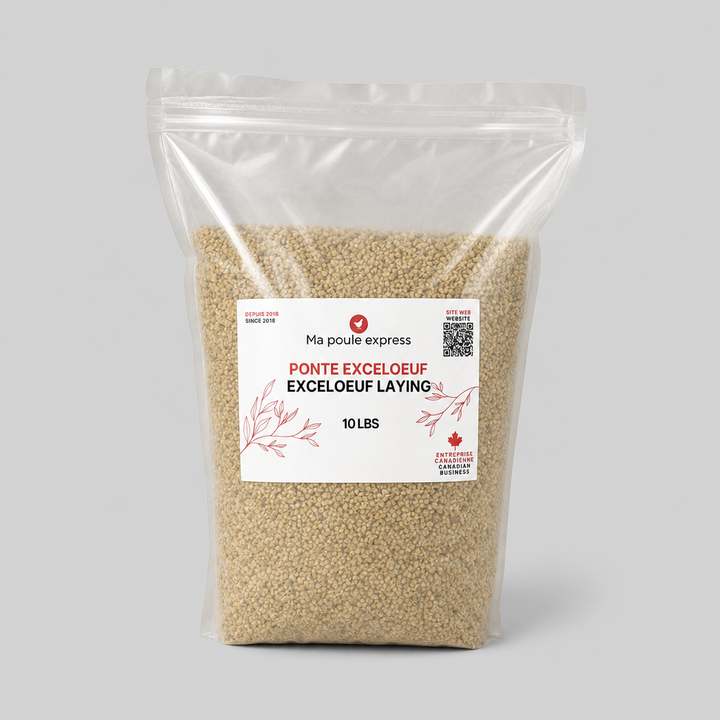 Moulée pour Poules et Poussins – 5 Formules au Choix | Sac de 10 lb