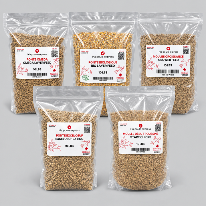 Moulée pour Poules et Poussins – 5 Formules au Choix | Sac de 10 lb