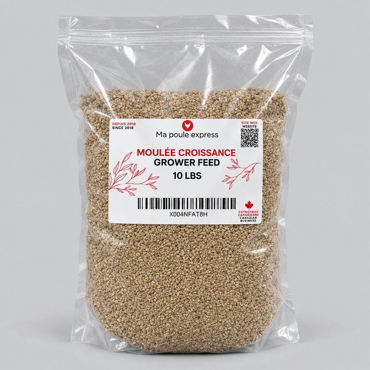 Moulée pour Poules et Poussins – 5 Formules au Choix | Sac de 10 lb