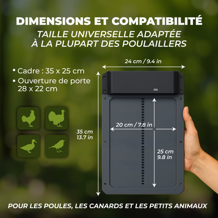 Porte automatique pour poulailler - Ma Poule Express - Ma Poule Express