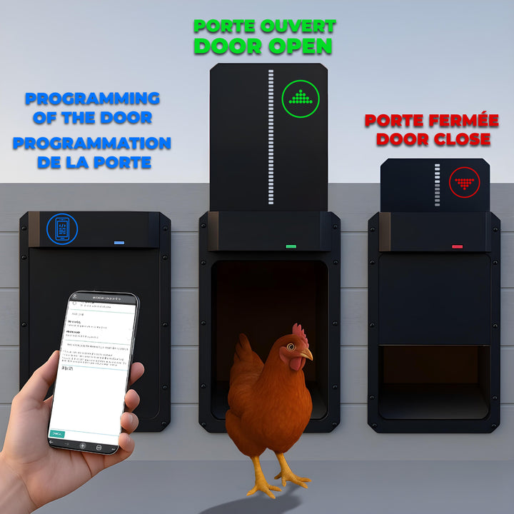 Porte automatique pour poulailler - Ma Poule Express - Ma Poule Express