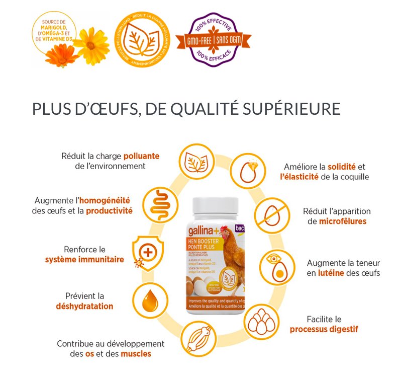 PROMO*Gallina+ Ponte plus | Pour poules récréatives - 100 g - Ma Poule Express