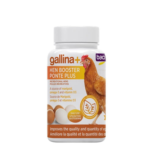 PROMO*Gallina+ Ponte plus | Pour poules récréatives - 100 g - Ma Poule Express