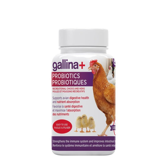 PROMO*gallina+ Probiotique | Pour poules récréatives - 100 g - Ma Poule Express