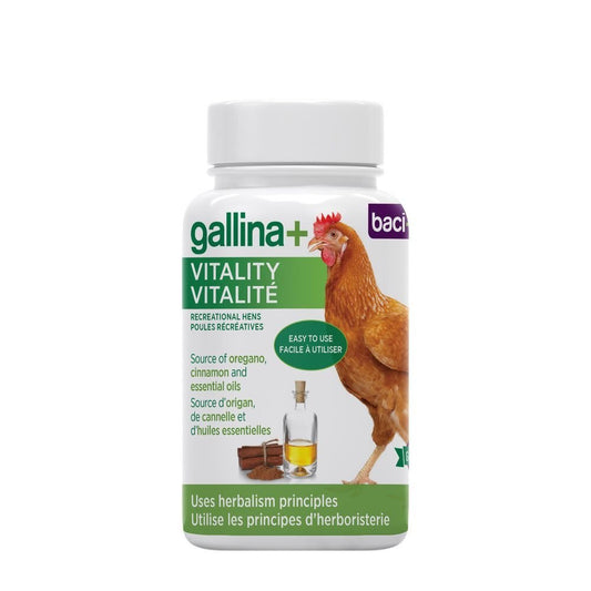 PROMO*Gallina+ vitalité | pour poules récréatives - Ma Poule Express