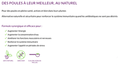 PROMO*Gallina+ vitalité | pour poules récréatives - Ma Poule Express