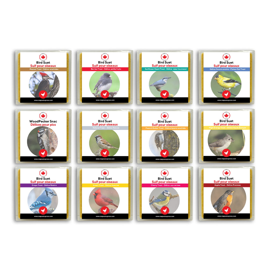 Promotion - Ensemble de 12 suifs mélangés - Ma Poule Express - Ma Poule Express