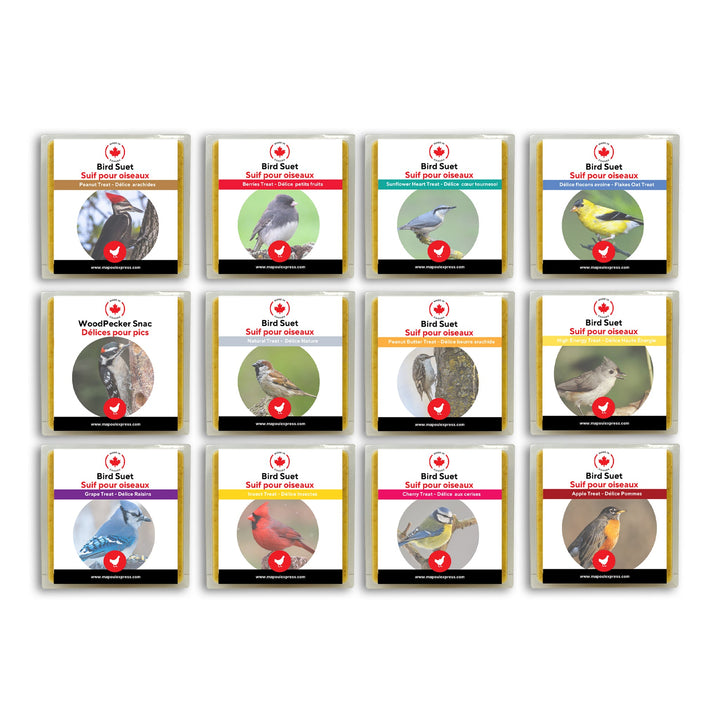 Promotion - Ensemble de 12 suifs mélangés - Ma Poule Express - Ma Poule Express