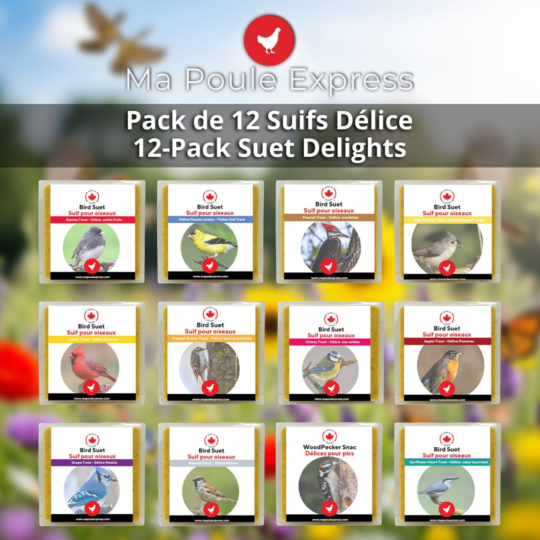 Promotion - Ensemble de 12 suifs mélangés - Ma Poule Express - Ma Poule Express