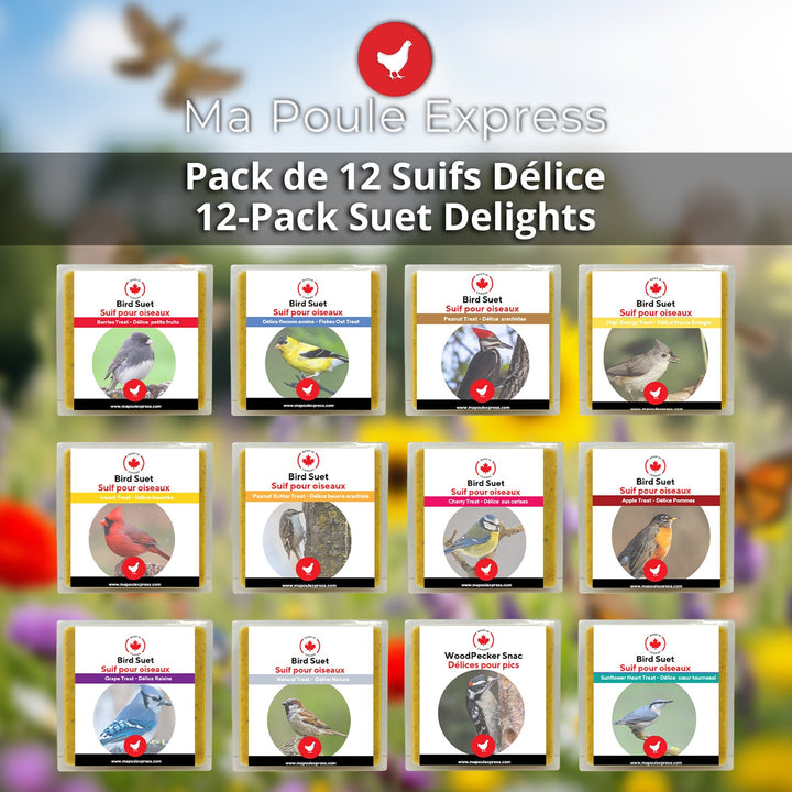 Promotion - Ensemble de 12 suifs mélangés - Ma Poule Express - Ma Poule Express