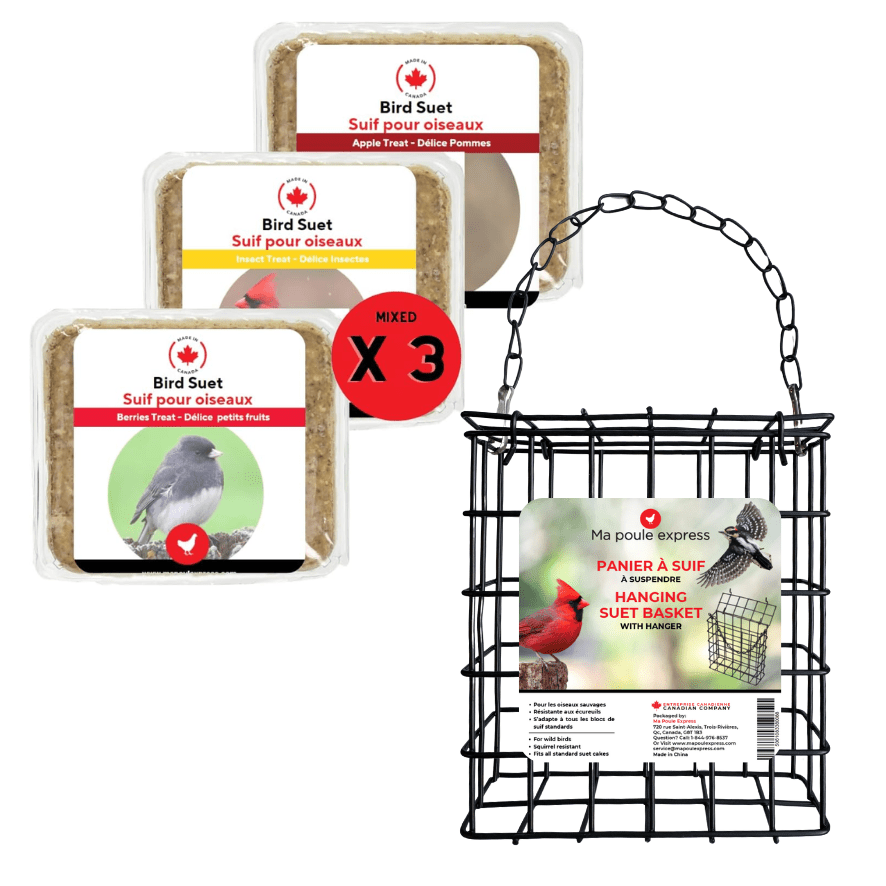 Promotion - Paquet de 3 suifs et Panier à Suif Ma Poule Express - Ma Poule Express