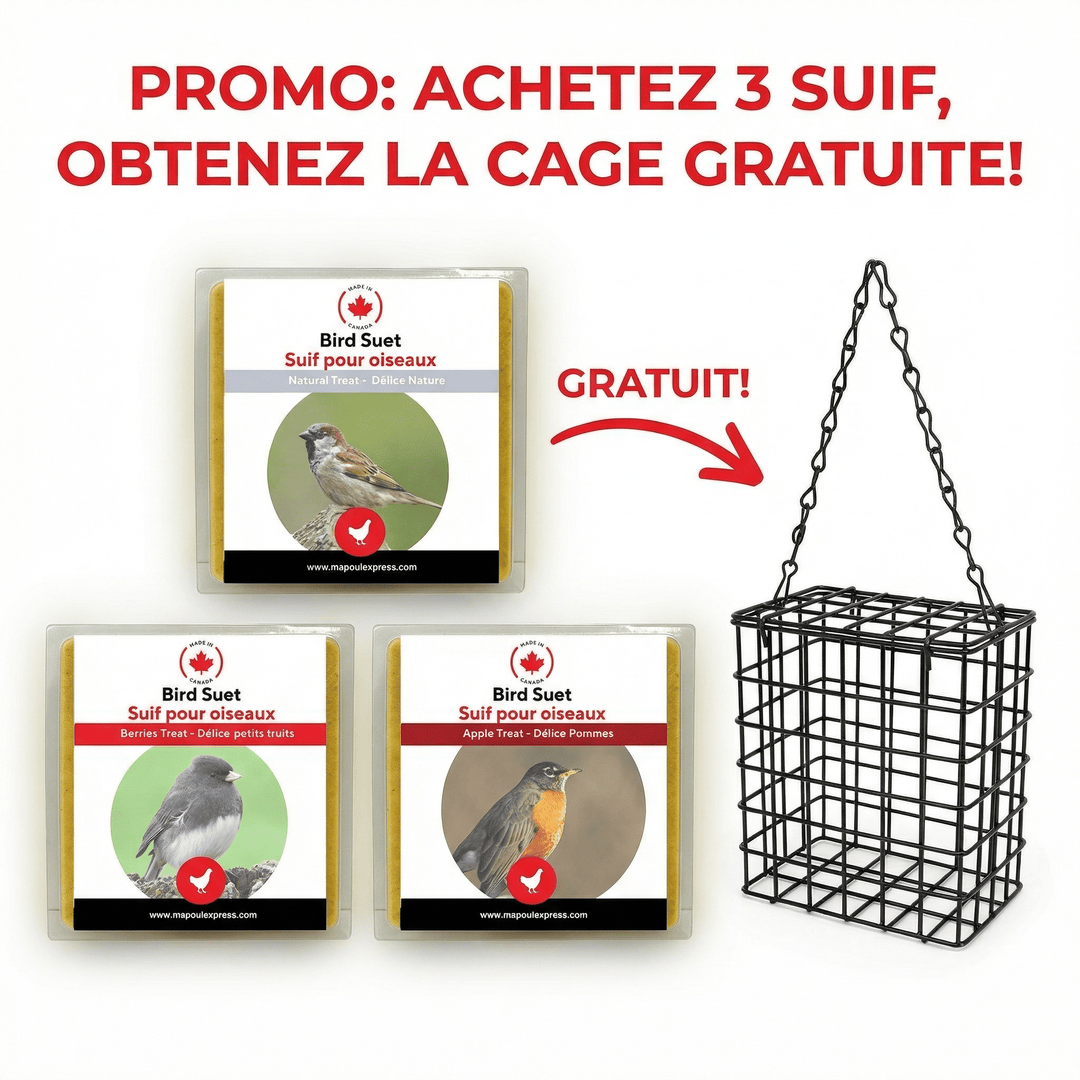 Promotion - Paquet de 3 suifs et Panier à Suif Ma Poule Express - Ma Poule Express