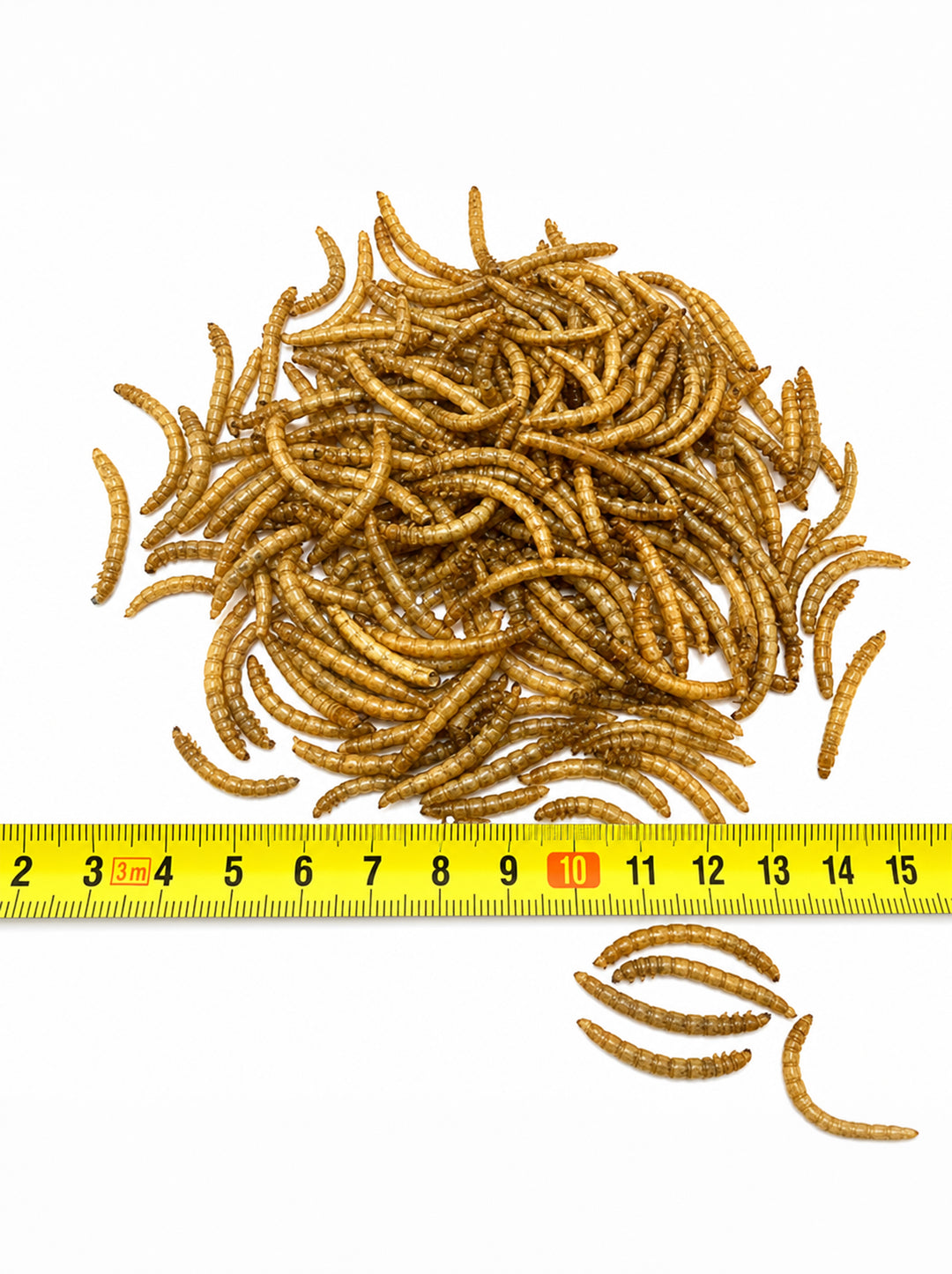 Dried mealworms