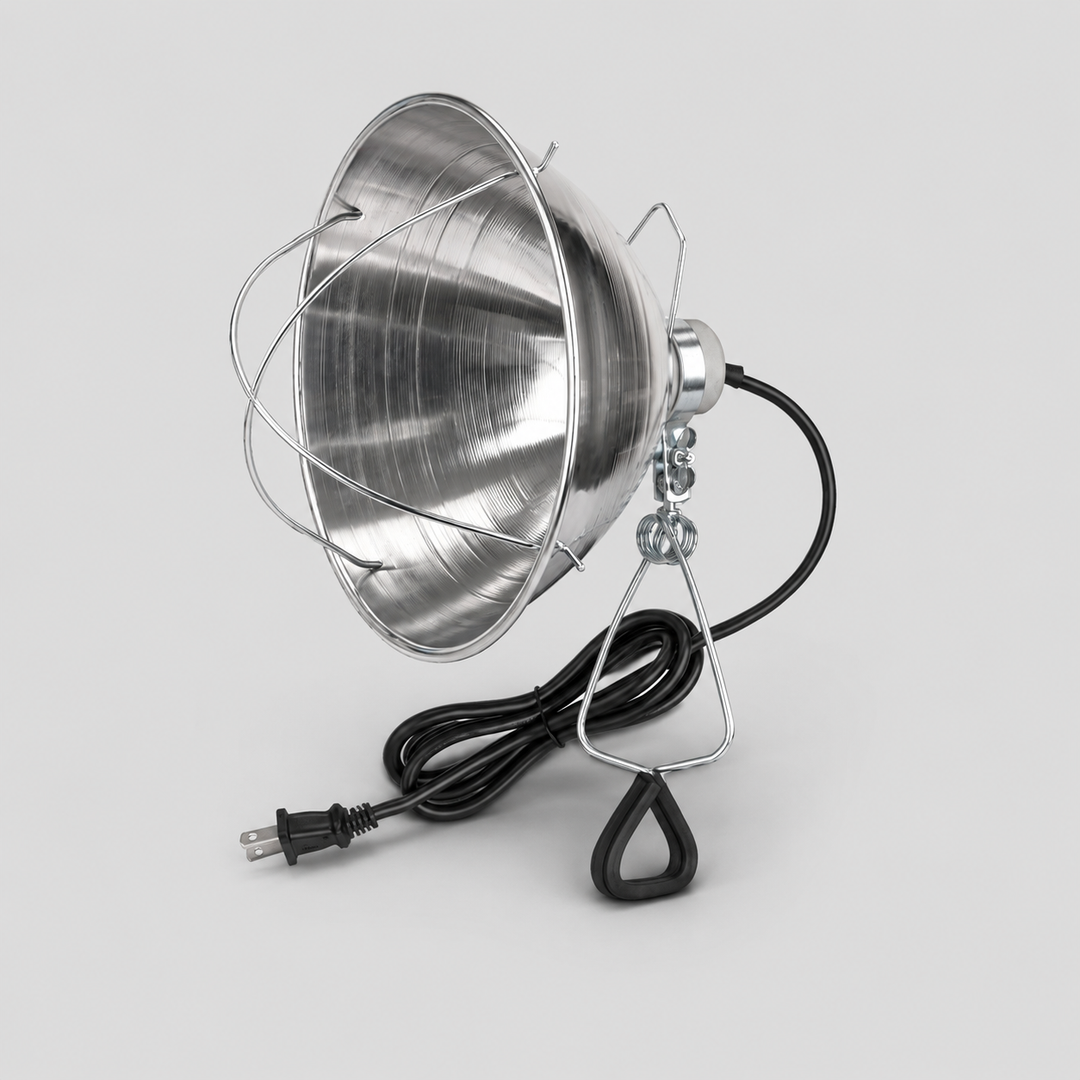 Ensemble complet pour poulailler – 4 supports de lampes chauffantes, 4 ampoules, larves BSF 5 lb, millet en grappe 5 lb et bain de poussière 5 lb
