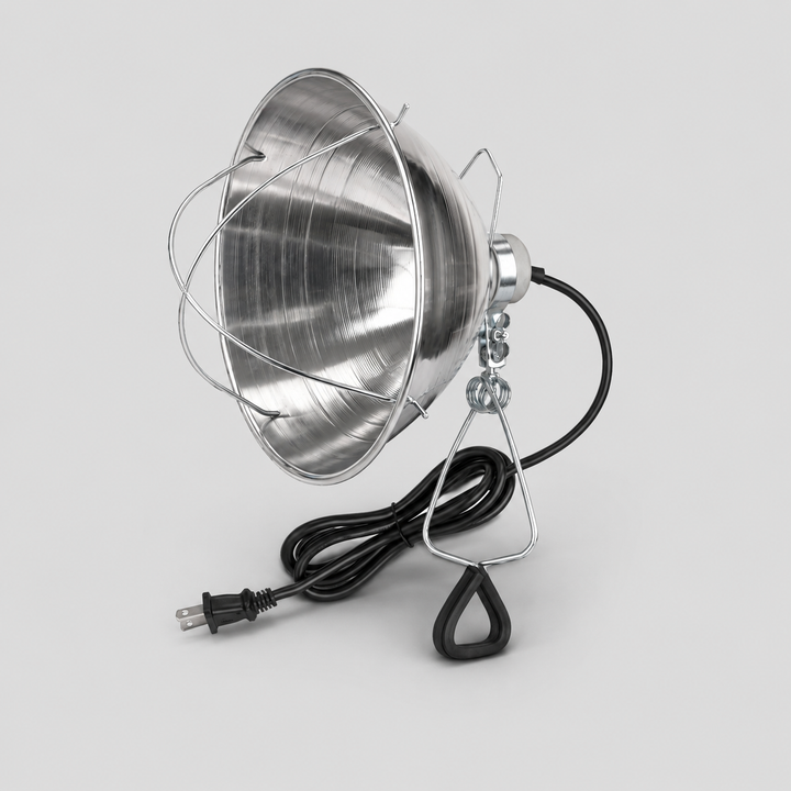 Ensemble complet pour poulailler – 4 supports de lampes chauffantes, 4 ampoules, larves BSF 5 lb, millet en grappe 5 lb et bain de poussière 5 lb