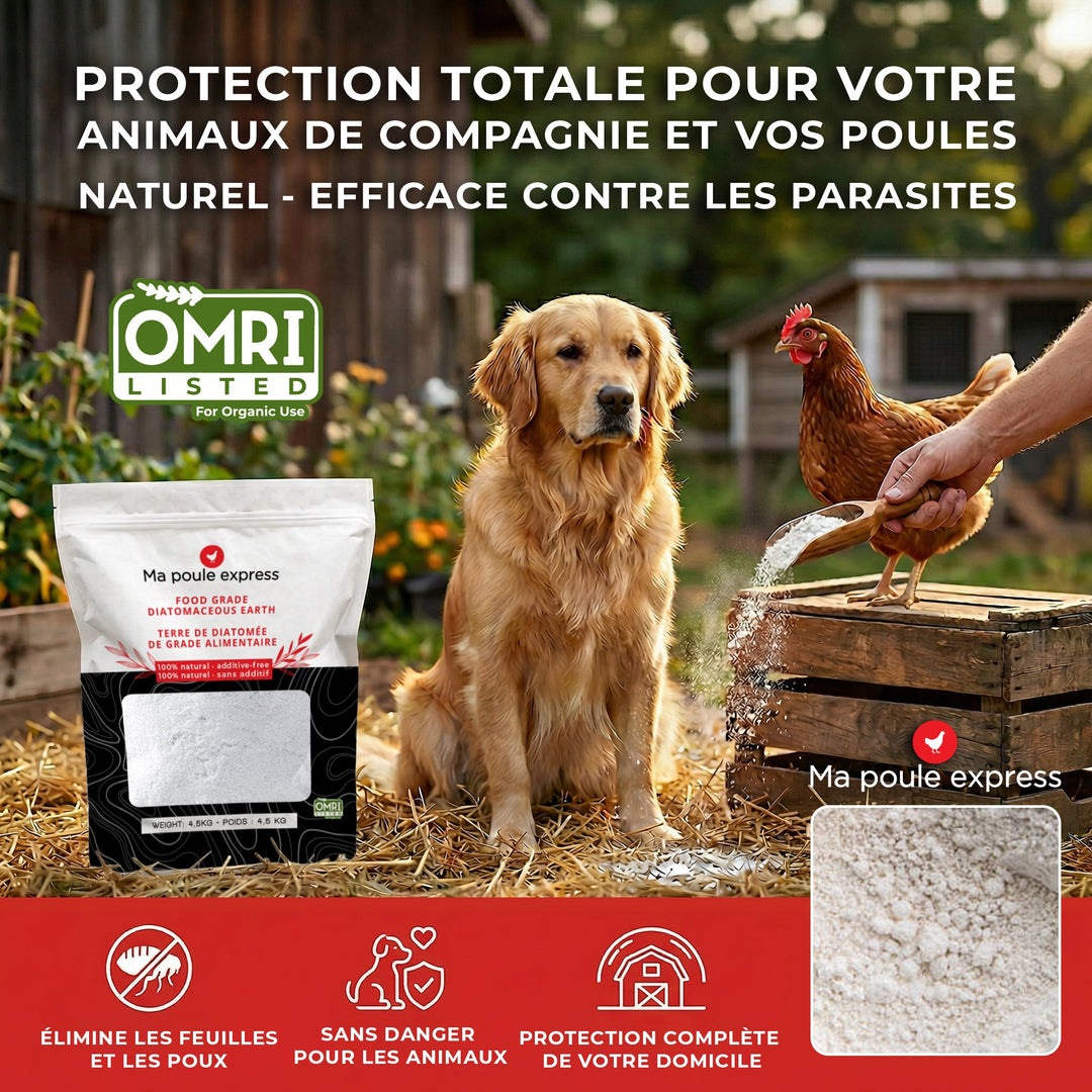 Terre de diatomée 500G - Ma Poule Express