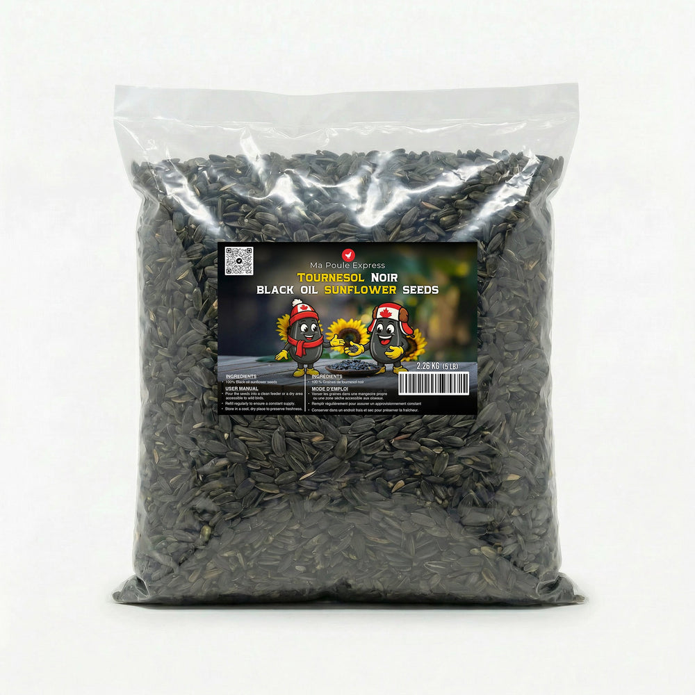 Tournesol noir - Ma Poule Express