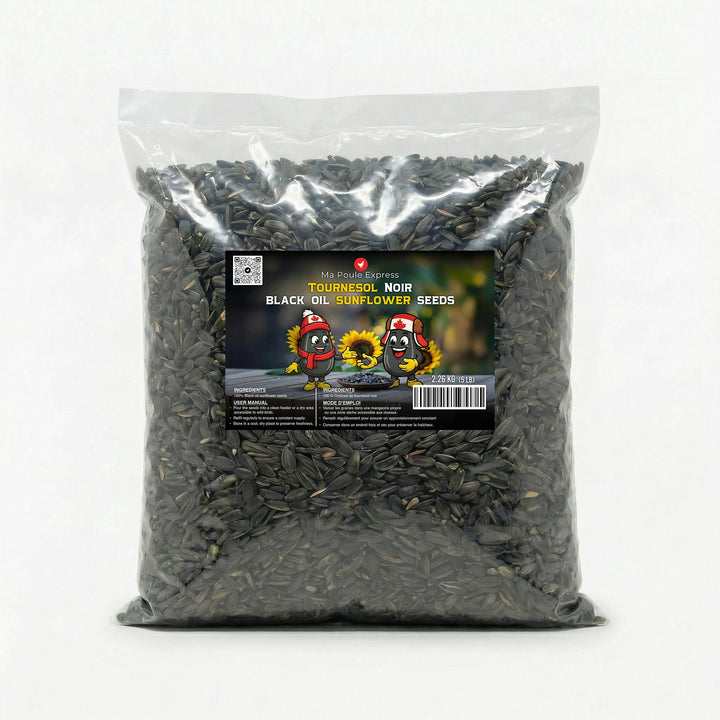 Tournesol noir - Ma Poule Express