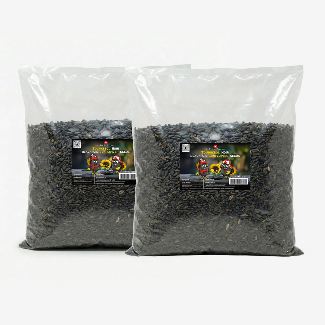 Tournesol noir - Ma Poule Express