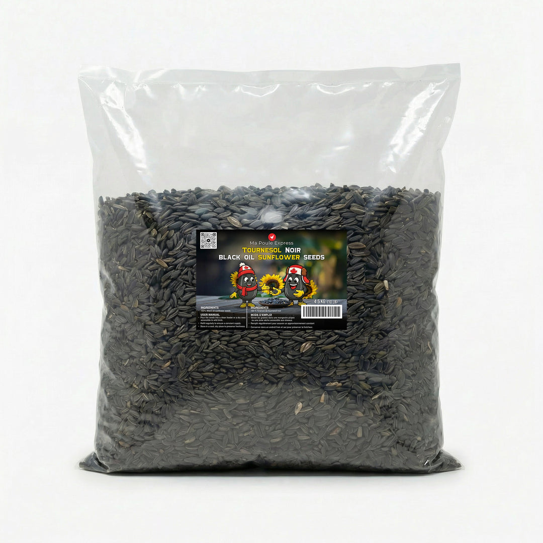 Tournesol noir - Ma Poule Express
