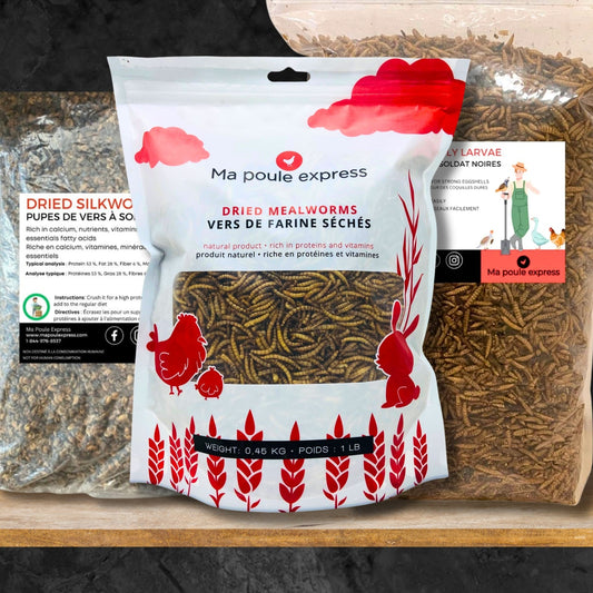 TRIO INSECTES - Ma Poule Express