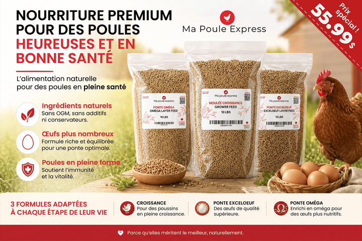 Trio Nourriture Premium pour Poules - Croissance, Ponte Exceloeuf &amp; Ponte Oméga (3 x 10 lbs) - Ma Poule Express
