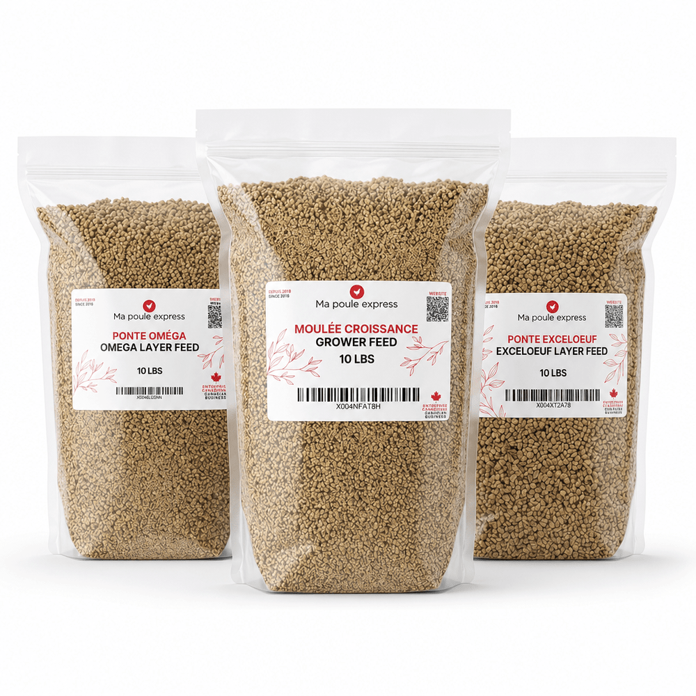 Trio Nourriture Premium pour Poules - Croissance, Ponte Exceloeuf & Ponte Oméga (3 x 10 lbs) - Ma Poule Express
