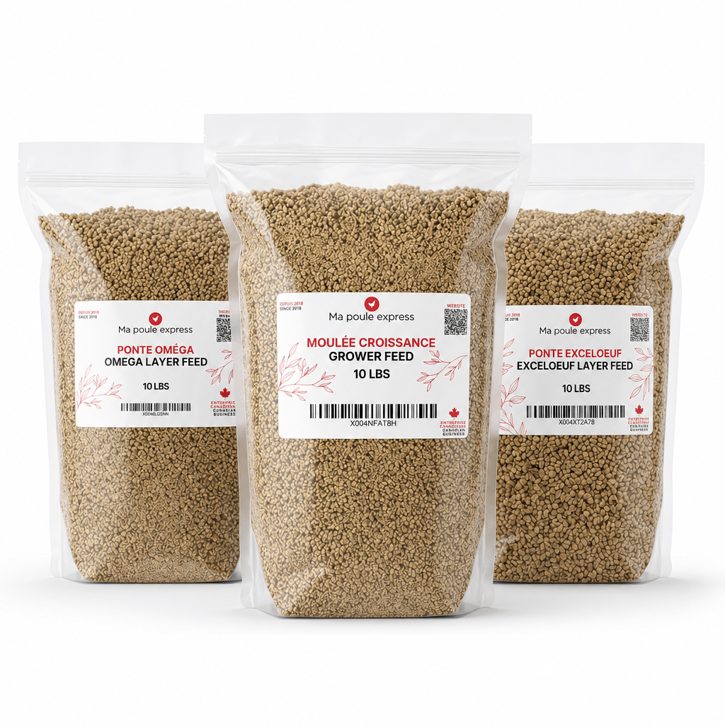Trio Nourriture Premium pour Poules - Croissance, Ponte Exceloeuf &amp; Ponte Oméga (3 x 10 lbs) - Ma Poule Express