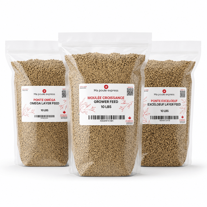 Trio Nourriture Premium pour Poules - Croissance, Ponte Exceloeuf &amp; Ponte Oméga (3 x 10 lbs) - Ma Poule Express