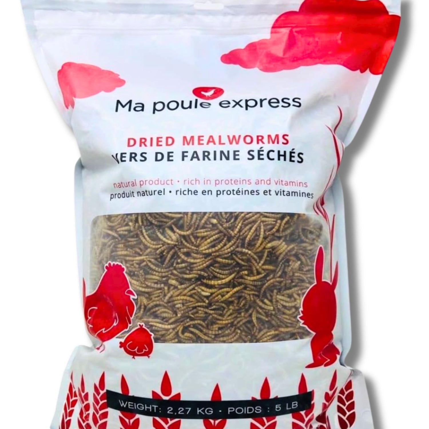 Vers à farine - Ma Poule Express