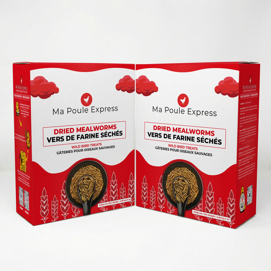 Vers à farine séchés - Ma Poule Express