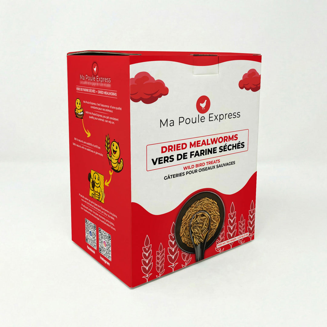 Vers à farine séchés - Ma Poule Express