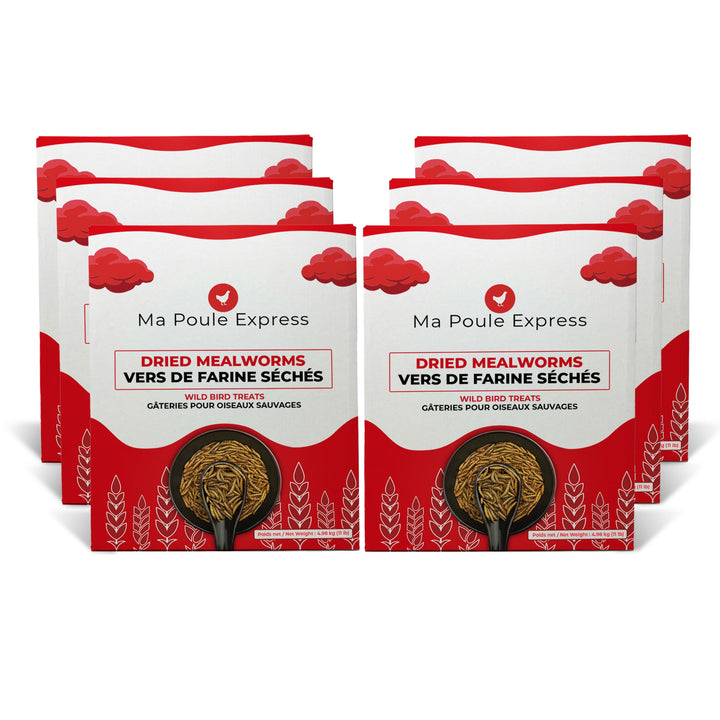 Vers à farine séchés - Ma Poule Express