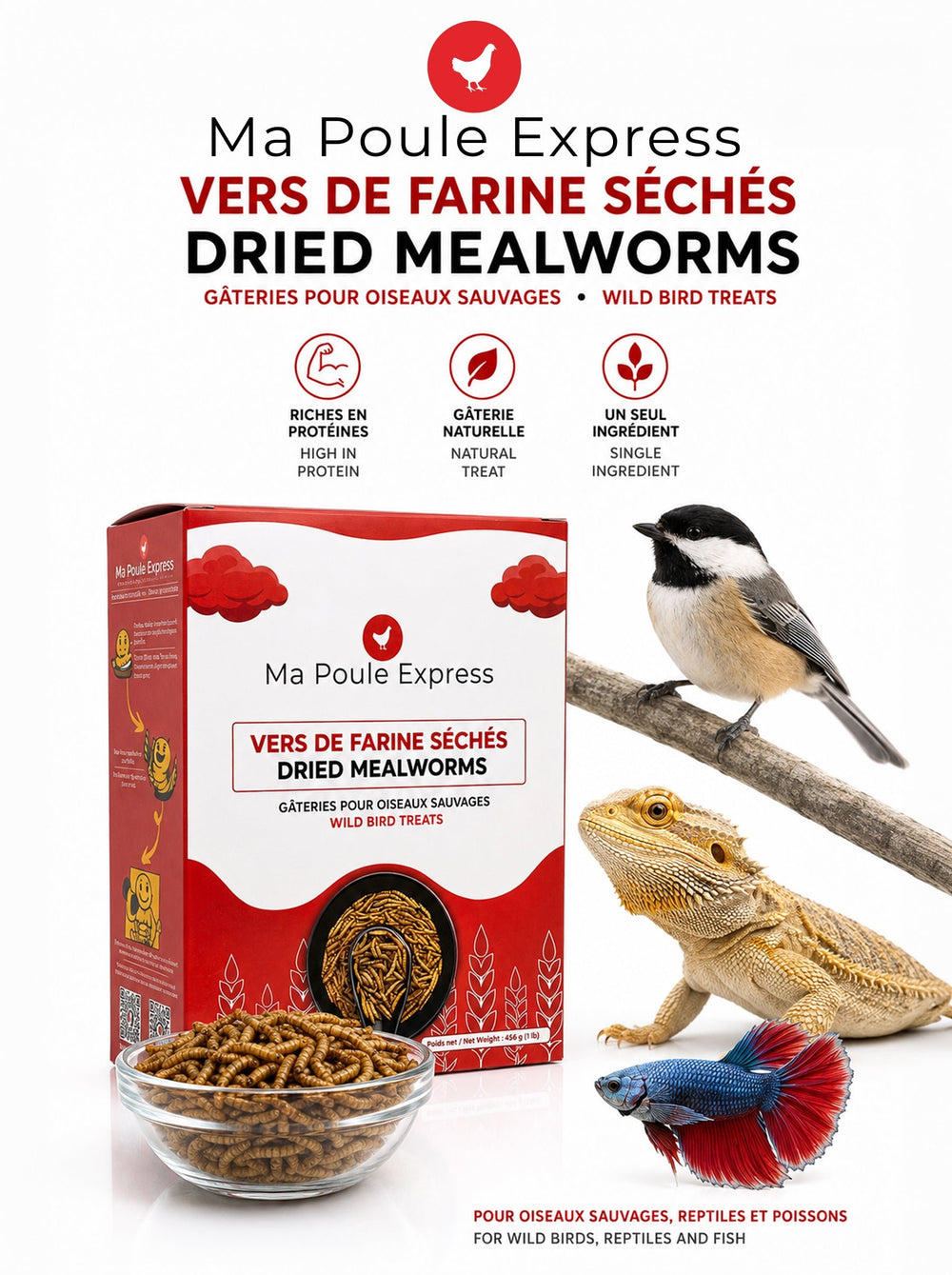 Vers à farine séchés naturels - Ma Poule Express