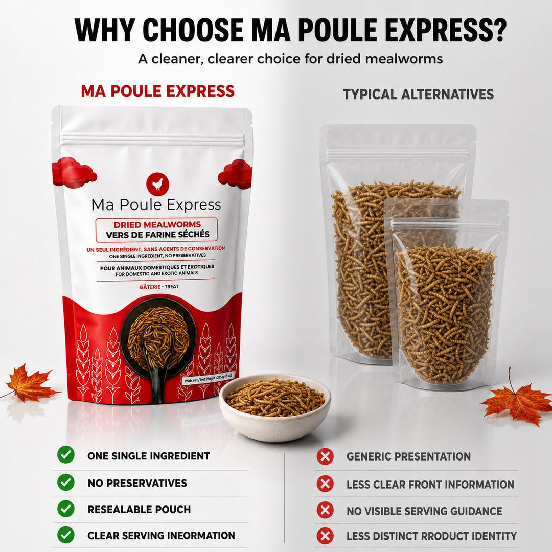 Vers de farine séchés 2 oz (56 g) – Format découverte | Ma Poule Express - Ma Poule Express
