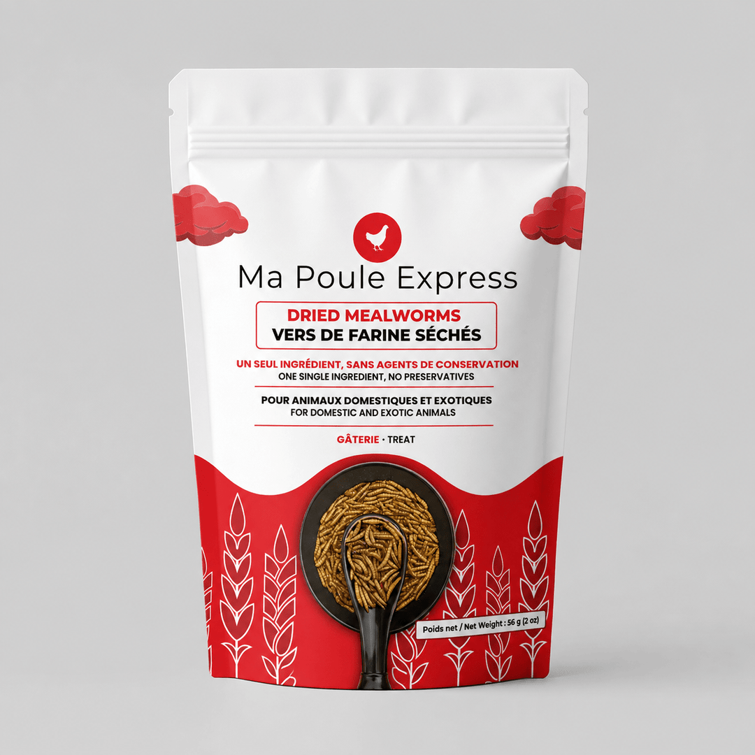 Vers de farine séchés 2 oz (56 g) – Format découverte | Ma Poule Express - Ma Poule Express