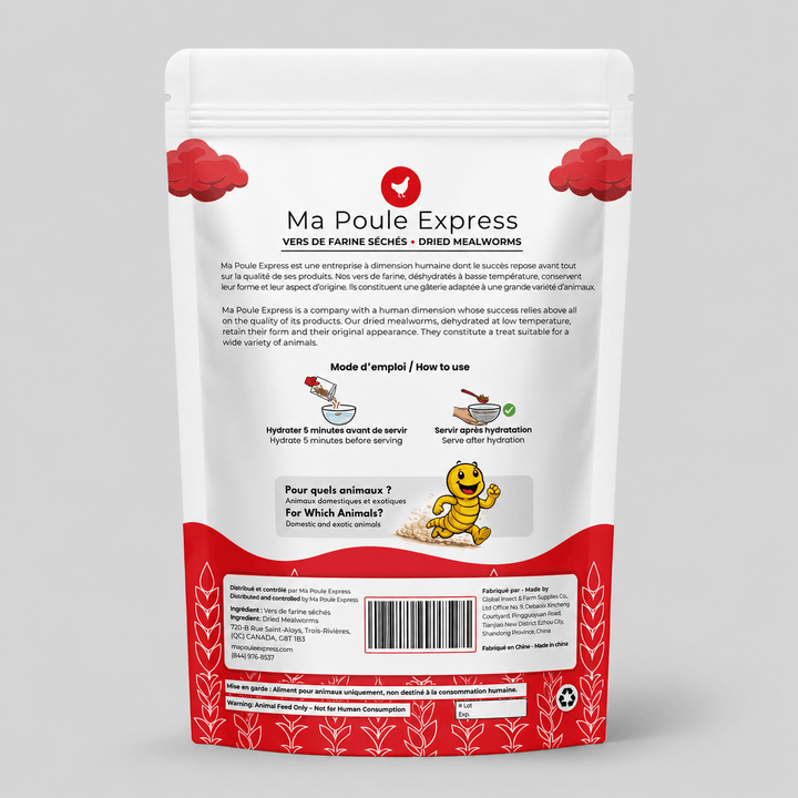 Vers de farine séchés 8 oz (227 g) – Petit format | Ma Poule Express - Ma Poule Express
